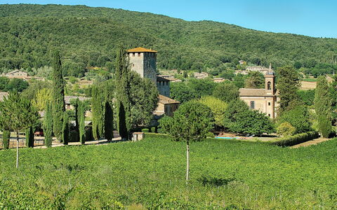 Medieval Castle Living: Vineyards, Swimming Pool &: Vegetationen, Busk, Land Lot, Plantesamfund, Landdistrikt, Plantation, Hill Station, Have, Landsby, Estate