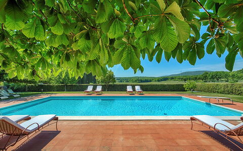 Medieval Castle Living: Vineyards, Swimming Pool &: Have, Skygge, Udvej, Eco Hotel, Svømmepøl, Hacienda, Udendørs Møbler, Plantation, Villa, Stuehus