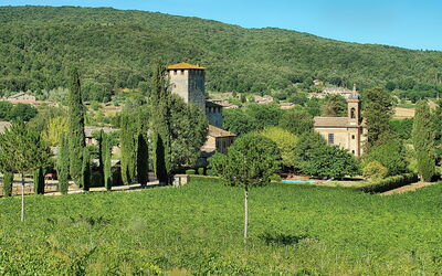Medieval Castle Living: Vineyards, Swimming Pool &