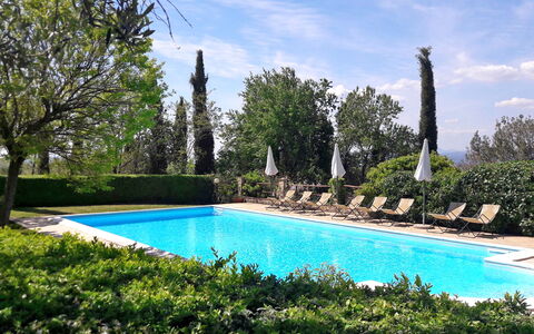 Podere Peteglia: Svømmepøl, Busk, Udvej, Have, Landscaping, Udendørs Møbler, Hacienda, Estate, Eco Hotel, Skygge