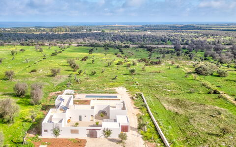 Terracorte Villa: Landskab, Land Lot, Hjem, Almindeligt, Estate, Landscaping, Plantation, Landsby, Stuehus, Hacienda