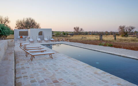 Terracorte Villa: Kompositmateriale, Svømmepøl, Afspejling, Reflekterende Pool, Water Feature, Udendørs Møbler