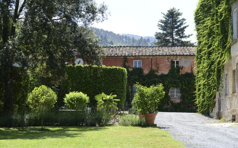 Fattoria: Busk, Boligområde, Hus, Estate, Have, Hacienda, Hæk, Landscaping, Gårdsplads