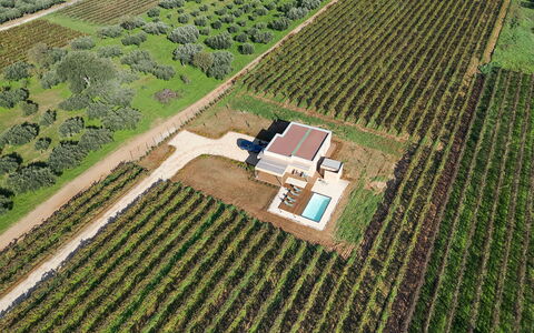 Mami: Plantation, Almindeligt, Land Lot, Landbrug, Mark, Fugleperspektiv, Estate, Landscaping, Luftfotografering, Have
