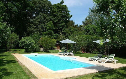 Villa Castellani: Svømmepøl, Have, Udvej, Skygge, Backyard, Landscaping, Lawn, Fritid, Eco Hotel