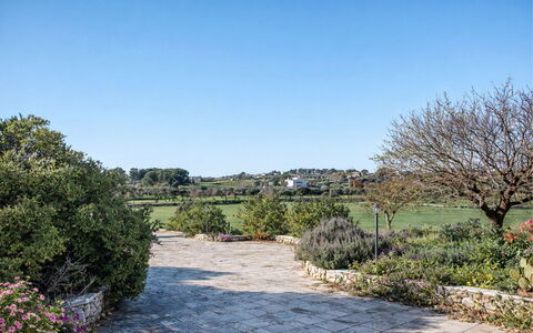 Trulli al Verde Viburno: Busk, Have, Plantesamfund, Bunddække, Landscaping, Vedplante, Botanisk Have, Skygge, Hæk