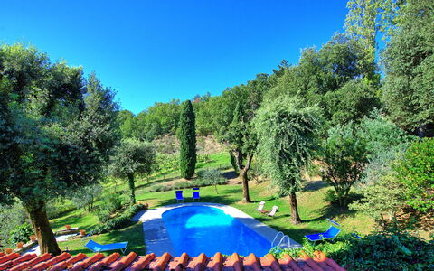 Villa Ulivacci: Blå, Have, Svømmepøl, Lawn, Skygge, Backyard, Landscaping, Parkere, Gård, Udendørs Møbler