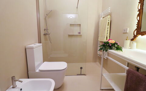 Bacchus: Historic Charming Home: Badeværelse, Toiletbræt, Sanitærarmatur, Toilet, Gulvbelægning, Væg, Etage, Indretning, Badeværelsesvask, Håndvask
