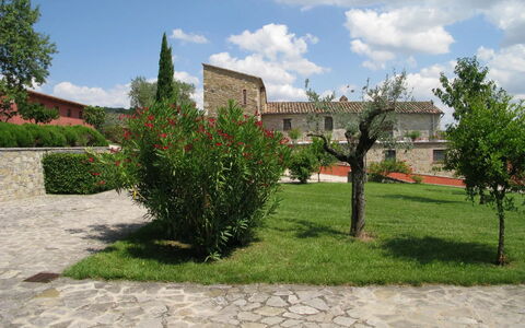 Agriturismo le Case Rosse di Montebuono: Græs, Busk, Landskab, Land Lot, Have, Lawn, Landscaping, Gård, Plantation
