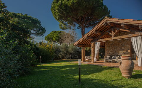 Villa Bolgheri Vermentino Castagneto Carducci: Træ, Tag, Have, Skygge, Sommerhus, Garden Bygninger, Landscaping, Backyard, Udendørs Struktur, Estate