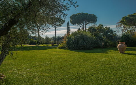 Villa Bolgheri Vermentino Castagneto Carducci: Græs, Natur, Blad, Have, Landskab, Busk, Land Lot, Bagagerum, Lawn, Landscaping