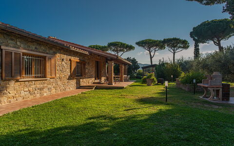 Villa Bolgheri Vermentino Castagneto Carducci: Træ, Hjem, Sommerhus, Hus, Tag, Estate, Land Lot, Landdistrikt, Stuehus, Have