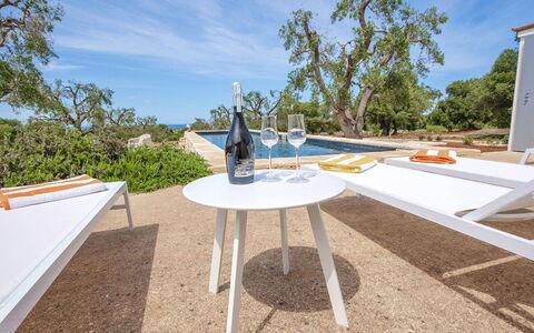Villa Il Guaceto: Møbel, Udendørs Møbler, Have, Skygge, Udendørs Bord, Stol, Landscaping, Eco Hotel, Backyard