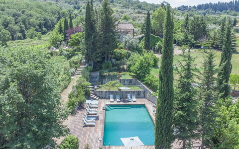 Villa Grevigiana: Træ, Vegetationen, Busk, Landskab, Plantesamfund, Have, Landscaping, Svømmepøl, Evergreen