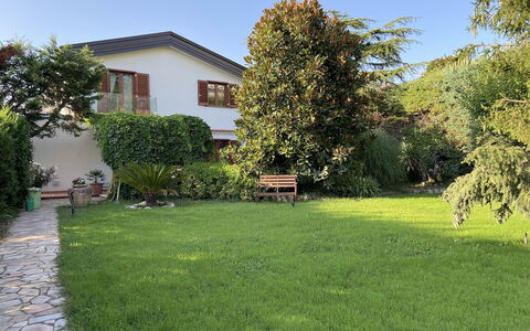 Villa Ava: Græs, Hus, Have, Busk, Boligområde, Hjem, Lawn, Land Lot, Backyard