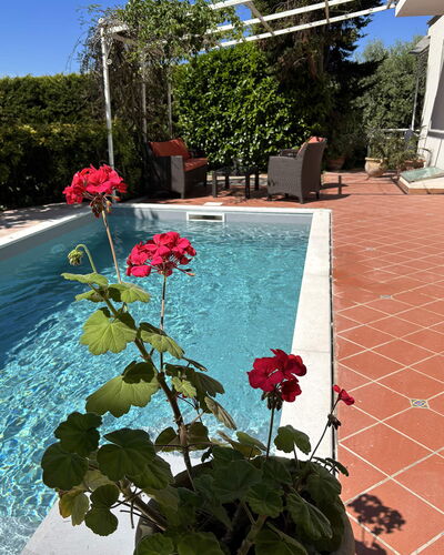 Villa Ava: Blomsterkrukke, Svømmepøl, Have, Skygge, Stueplante, Landscaping, Backyard, Gård, Water Feature