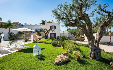Villa la Pigna: Have, Busk, Landscaping, Estate, Hacienda, Skygge, Gård, Lawn, Udvej