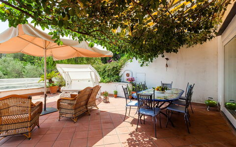 Casa Dorothea 3: Møbel, Blomsterkrukke, Bord, Stol, Udendørs Møbler, Stueplante, Udendørs Bord, Have, Køkken & Spisebord, Gårdhave