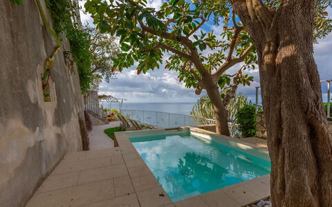 Villa Magnolia: Hav, Svømmepøl, Ocean, Kyst, Udvej, Fritid, Ferie, Skygge, Tropics, Eco Hotel