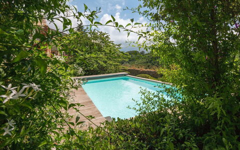 La Rocca di Monteggiori: Grøn, Svømmepøl, Busk, Have, Udvej, Backyard, Landscaping, Skygge, Eco Hotel, Water Feature