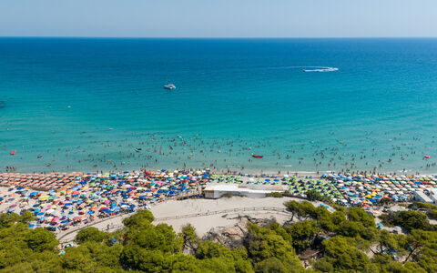 Azzurra: Blå, Krop Af Vand, Strand, Hav, Kyst, Coastal Og Oceaniske Landskabsformer, Sommer, Fritid, Ocean, Kyst