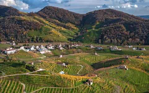 La Casetta dei Palù, Valdobbiadene: Bjergrige Landskabsformer, Bjerg, Bakke, Highland, Landskab, Mark, Landbrug, Hill Station, Plantation