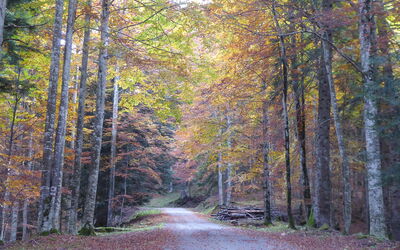 La Casetta dei Palù, Valdobbiadene
