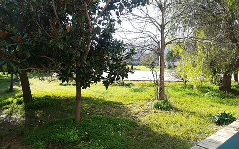 Noemi'S House in Otranto: Blad, Afdeling, Busk, Have, Bagagerum, Vedplante, Lawn, Skygge, Landscaping, Gård