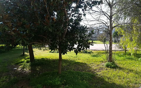 Noemi'S House in Otranto: Blad, Busk, Bagagerum, Vedplante, Have, Skygge, Landscaping, Lawn, Gård, Parkere