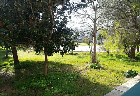 Noemi'S House in Otranto: Blad, Afdeling, Busk, Have, Bagagerum, Vedplante, Lawn, Skygge, Landscaping, Gård