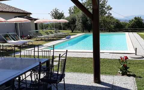 Villa Felice, Private Pool and Hills: Svømmepøl, Udendørs Møbler, Møbel, Udvej, Stol, Thermae, Eco Hotel, Hacienda, Estate, Liggestol