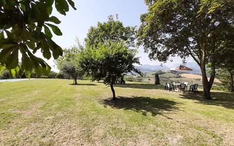 Villa Felice, Private Pool and Hills: Træ, Græs, Afdeling, Almindeligt, Landskab, Græs-, Land Lot, Sollys, Lawn, Eng