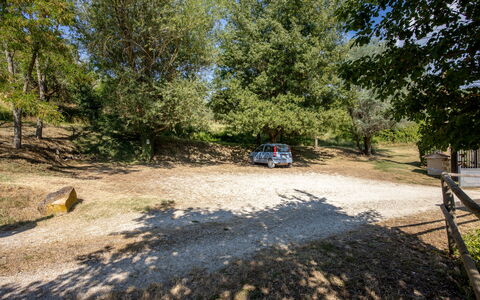 Il Giuncheto, Pool, Amazing View, Umbrian Countrys: Træ, Sti, Jord, Familie Bil, Parkering, Indkørsel, Skygge