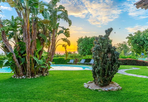 Villa Polistena: Blå, Grøn, Græs, Busk, Landskab, Have, Svømmepøl, Lawn, Udvej