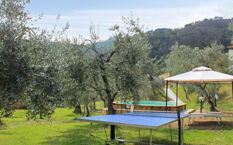 Il Casale di San Jacopo con Piscina Privata: Have, Lawn, Skygge, Udendørs Møbler, Backyard, Parkere, Gård, Landscaping