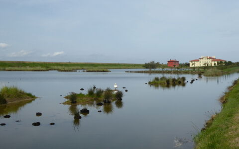 Villa Camerini, Nature, Bikes and Beaches: Vandressourcer, Vand, Krop Af Vand, Marsk, Naturlige Landskab, Vandvej, Bank, Vandløb