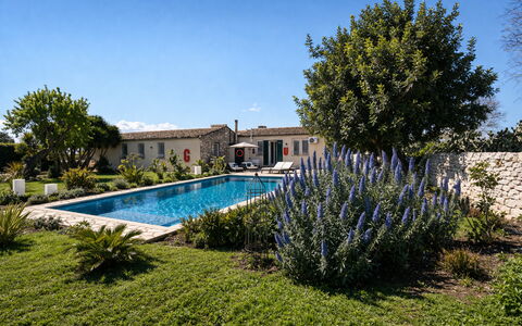 Villa Il Carato, Private Pool, Modica: Have, Estate, Landscaping, Sommerhus, Hacienda, Backyard, Blomsterkrukke, Gårdsplads, Stuehus, Svømmepøl
