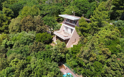 Villa Sole - Exclusive Villa al Conero con Piscina: Vegetationen, Hjem, Estate, Sommerhus, Jungle, Eco Hotel, Villa, Evergreen, Mansion, Altan