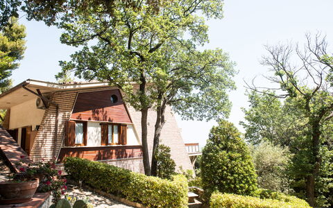Villa Sole - Exclusive Villa al Conero con Piscina: Blad, Busk, Boligområde, Hjem, Sommerhus, Have, Forår, Estate, Landscaping, Gård