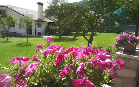 La Corte di Marga - Casa Gustet: Blomst, Kronblad, Lyserød, Busk, Have, Forår, Bunddække, Blomstrende Plante, Purple