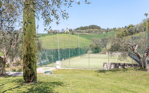 Serafini Holiday Home: Træ, Land Lot, Tennisbane, Lawn, Have, Skygge, Landscaping, Parkere, Hegn