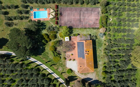 Il Leccio, Vinci, Private Pool and Tennis: Træ, Landskab, Land Lot, Estate, Plantation, Have, Landscaping, Fugleperspektiv, Lawn, Parkere