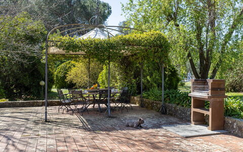 Il Leccio, Vinci, Private Pool and Tennis: Have, Skygge, Udendørs Struktur, Flise, Gazebo, Pavilion, Landscaping, Udendørs Møbler, Backyard