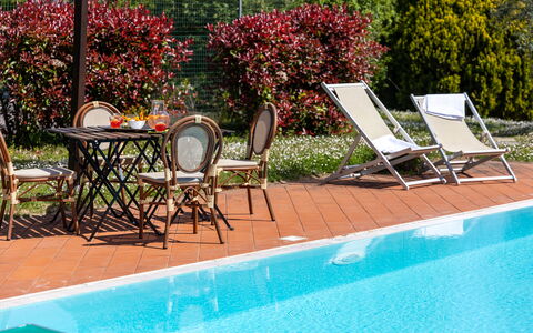 Il Leccio, Vinci, Private Pool and Tennis: Svømmepøl, Udendørs Møbler, Udvej, Møbel, Eco Hotel, Skygge, Stol, Liggestol, Blomsterkrukke, Stueplante
