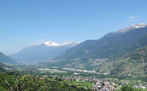 Valtellina 646: Vand, Træ, Svømmepøl, Udvej, Have, Eco Hotel, Skygge, Landscaping, Tropics