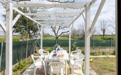 Casa di Lilia: Skygge, Have, Udendørs Struktur, Pergola, Landscaping, Backyard, Gård, Baldakin, Dagslys, Garden Bygninger