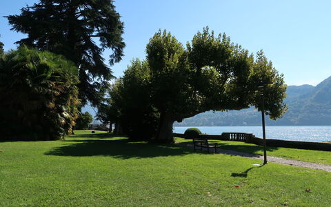 La Terza Casa: Svømmepøl, Hotel, Altan