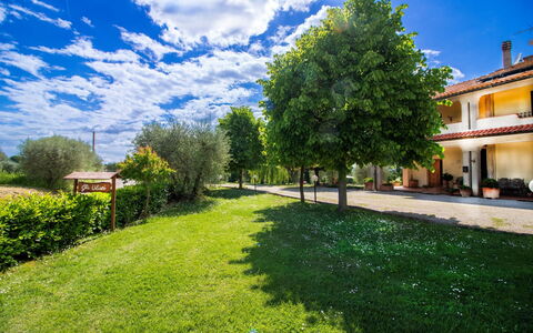 Gli Ulivi: Blå, Land Lot, Lawn, Have, Estate, Stuehus, Skygge, Gård, Landscaping, Hacienda