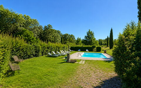 Civico108 Vacation Home, Pool, Castellina in Chian: Busk, Svømmepøl, Have, Lawn, Bunddække, Landscaping, Hæk, Udendørs Møbler, Skygge, Estate