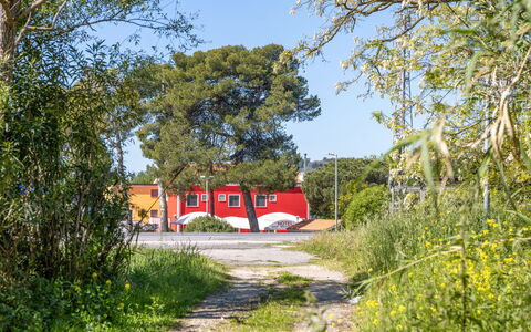 Casale Oleandro Marino: Træ, Rød, Busk, Land Lot, Skygge, Landscaping, Indkørsel